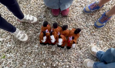peluches haras hennebont