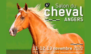 affiche salon cheval angers