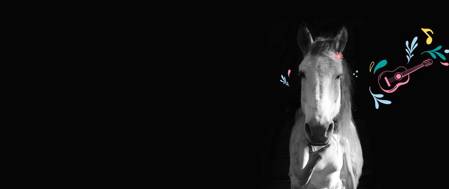 haras national hennebont