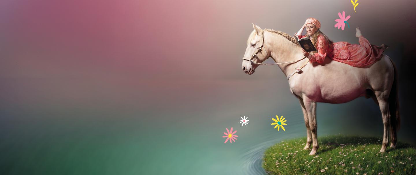 haras national hennebont