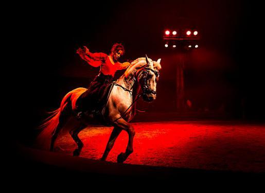 animation equestre piste cheval 