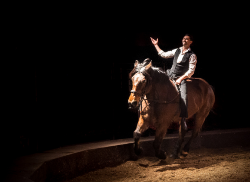 artiste et cheval
