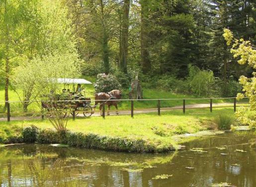 Une balade en calèche dans les allées du parc du Haras National d'Hennebont Une balade en calèche dans les allées du parc du Haras