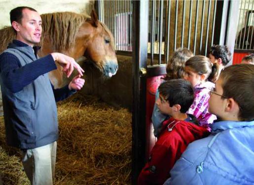 Visite pédagogique cycle 3 au Haras d'Hennebont Visite pédagogique cycle 3 au Haras d'Hennebont
