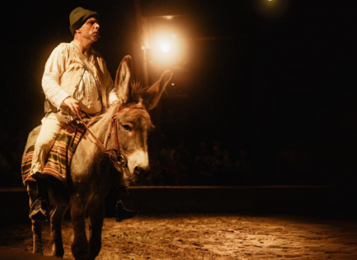 artiste et cheval sur piste spectacle