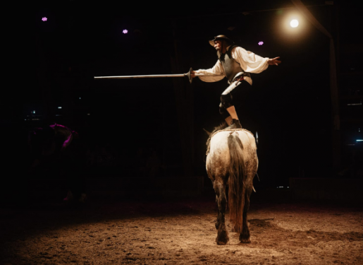 artiste et cheval en piste
