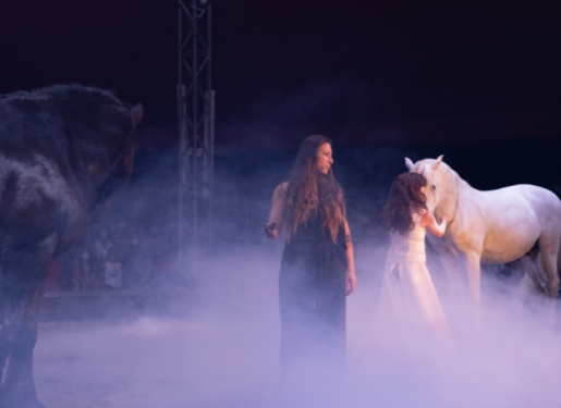 spectacle haras hennebont