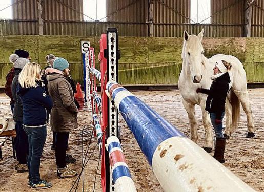 Séance d'équicoaching au Haras National d'Hennebont equicoaching haras hennebont