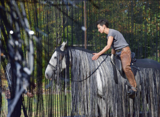 artiste cheval extérieur