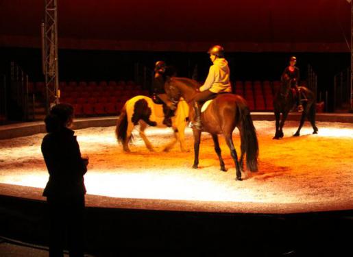 cavalières et chevaux en piste