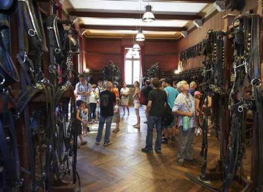Haras d'Hennebont visite groupe