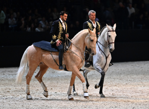 chevaux et artistes en piste