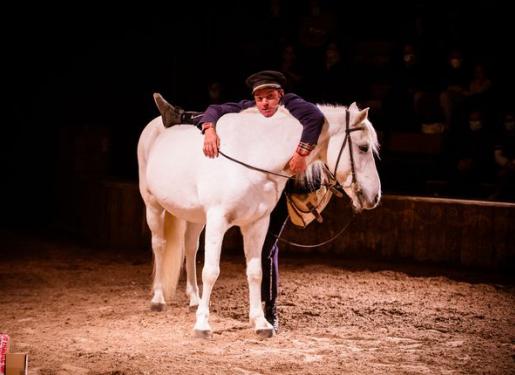 cheval et artiste en piste