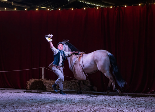 artiste et cheval en piste