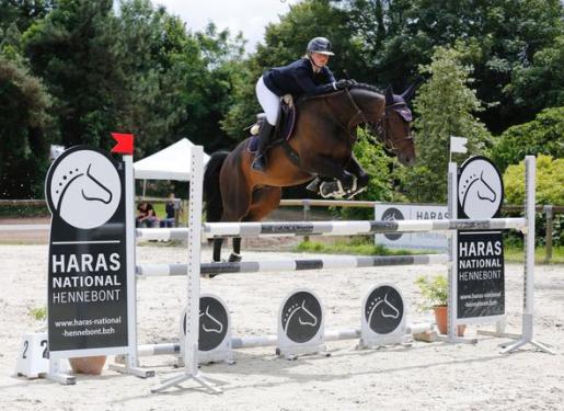 cheval et cavalier sautant un obstacle