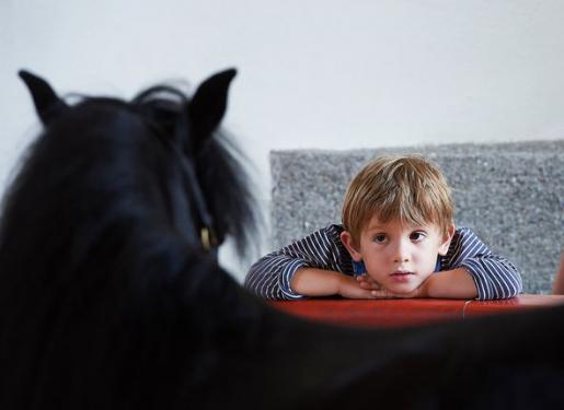 un enfant regarde un cheval au haras hennebont