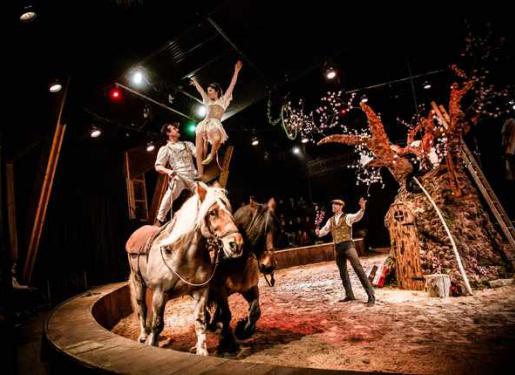 Spectacle équestre de Noël au Haras d'Hennebont
