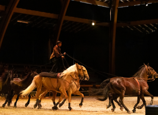 chevaux artiste poste hongroise