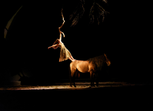 artiste équestre et cheval spectacle