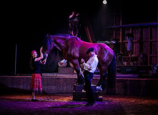 spectacle équestre de noel manoucherie auvergnate haras