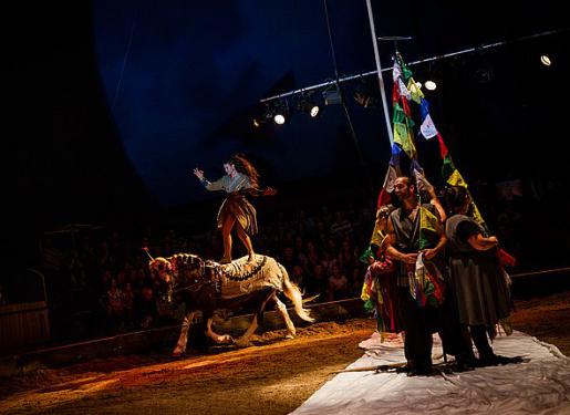 spectacle noël haras 2024
