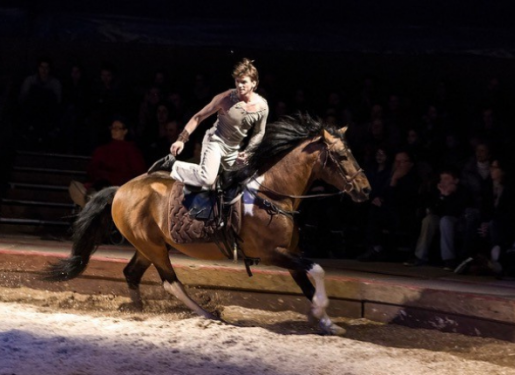 spectacle équestre once upon a time - cheval et artiste en piste