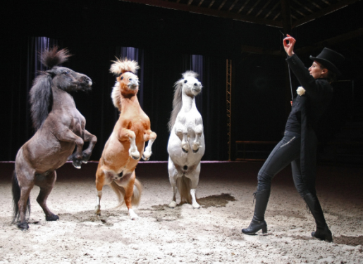 artiste et cheval en piste