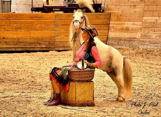 spectacle automne chapiteau haras hennebont