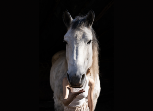 spectacle équestre uuka - cheval et artiste