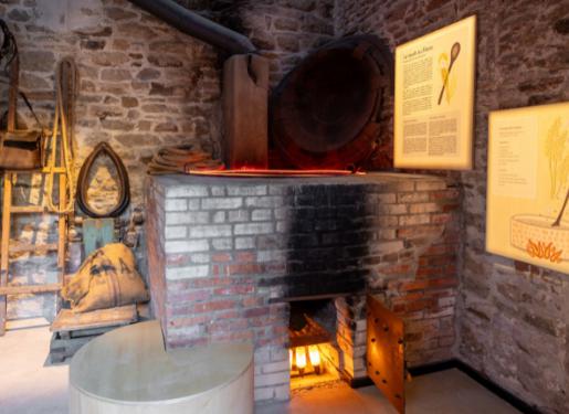 espace mash visite haras hennebont