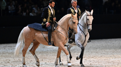 chevaux et artistes en piste
