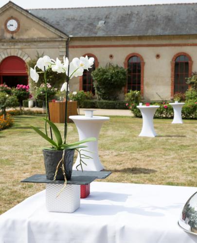 orchidée sur mange debout dans la cour du Haras d'Hennebont