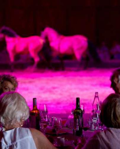 chevaux sur la scène et personnes dinant pendant le cabaret du Haras d'Hennebont