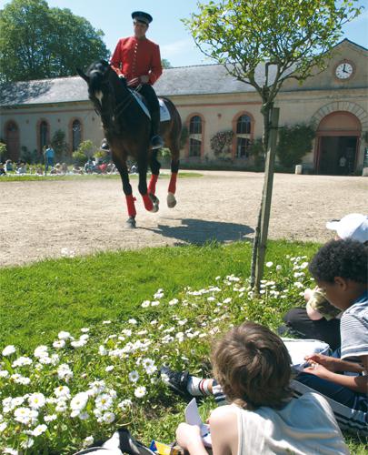 Visite pédagogique au Haras d'Hennebont
