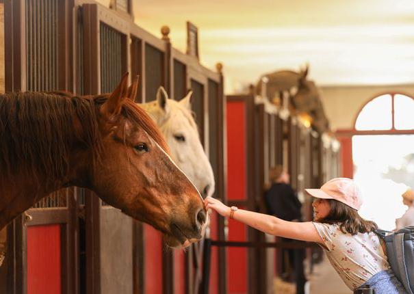 écurie 2 cheval enfant