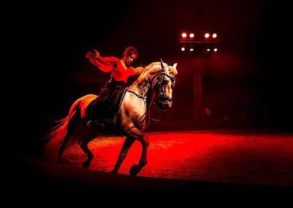 animation equestre piste cheval