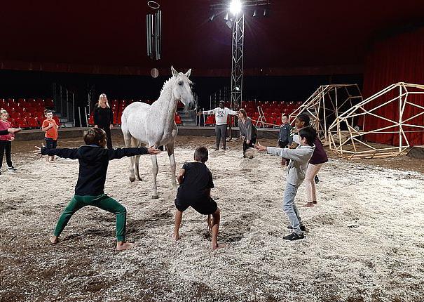 atelier artistes equestres haras hennebont