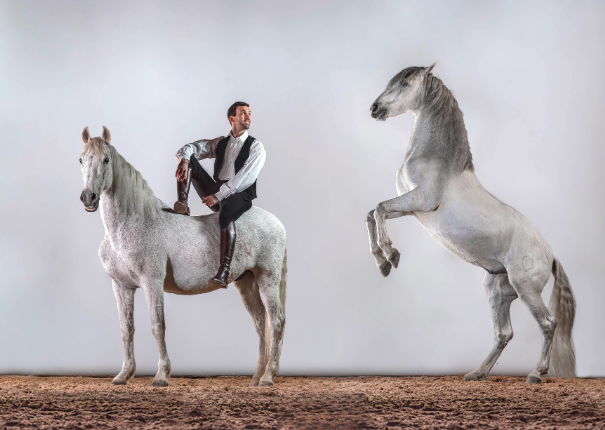 artiste et cheval en piste