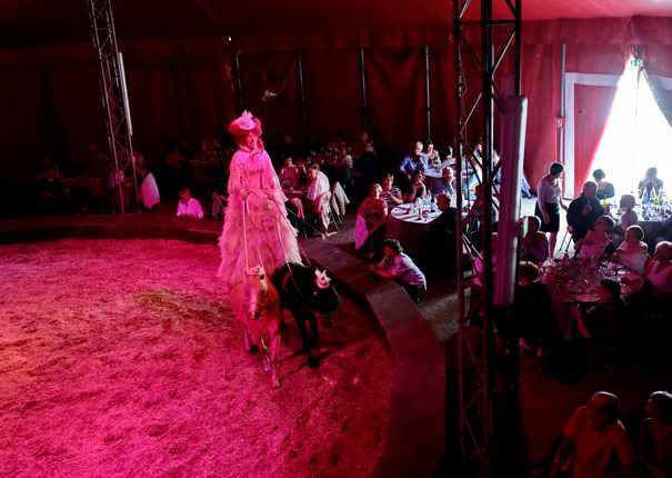 spectacle artiste sous chapiteau au Haras d'Hennebont