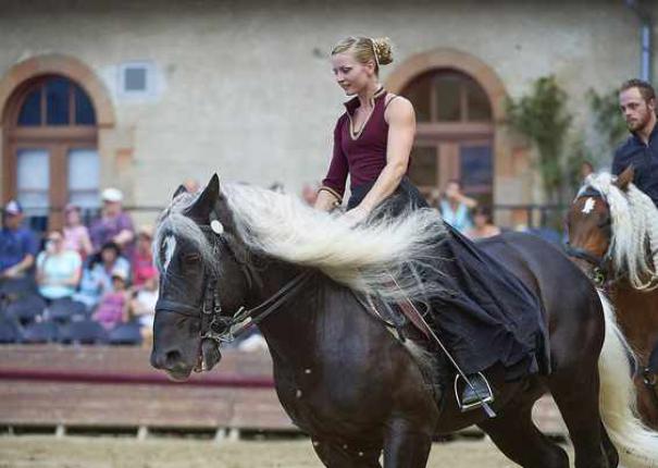 artiste sur cheval lors d'un spectacle équestre en extérieur au Haras d'Hennebont