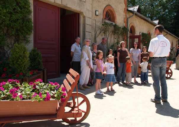 Visite guidée en été au Haras