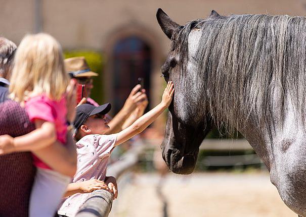 enfant cheval sortie scolaire haras