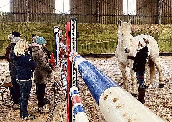 Séance d'équicoaching au Haras National d'Hennebont equicoaching haras hennebont