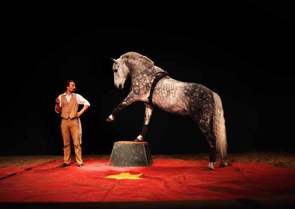 artsite et cheval sur la piste intérieure
