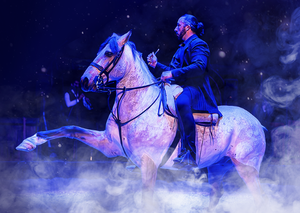 affiche spectacle chevaux
