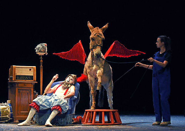 spectacle âne sur podium