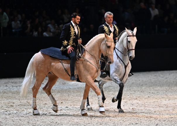 chevaux et artistes en piste
