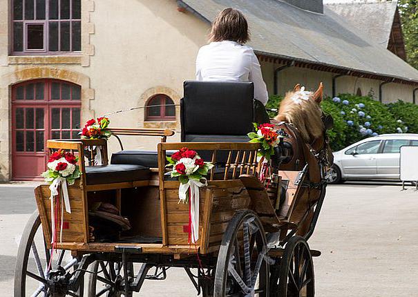 mariage caleche chevaux haras hennebont