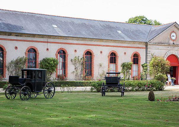 mariage parc haras hennebont