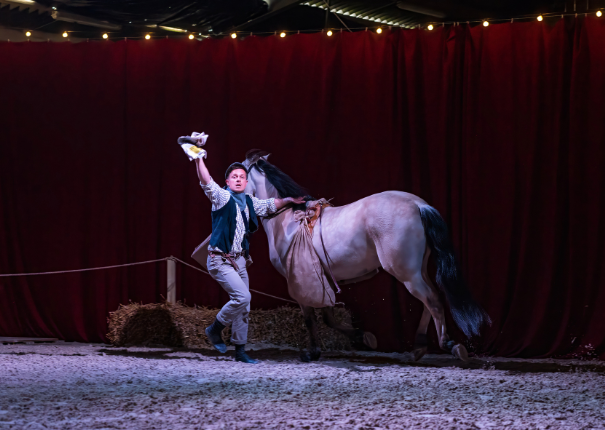 artiste et cheval en piste